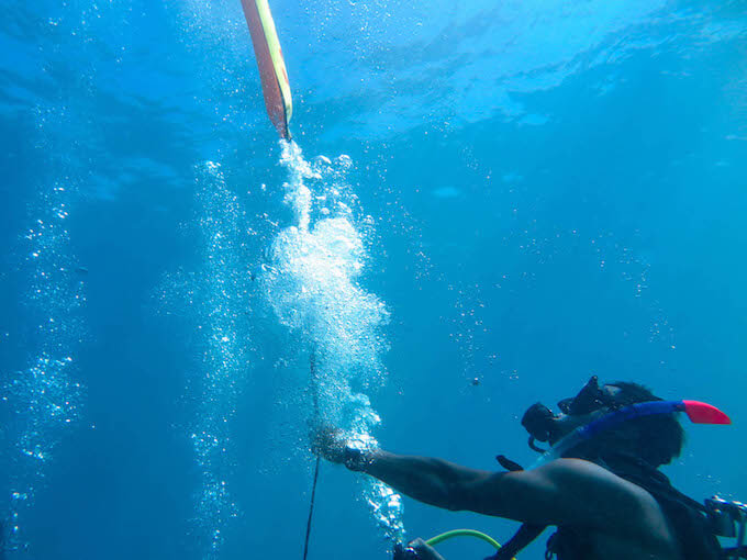 adventure divers underwater.