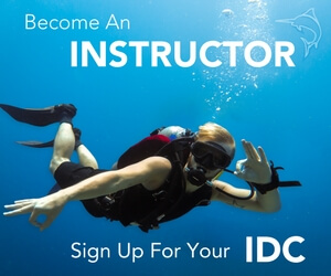 Become an Instructor. Sign up for your IDC.