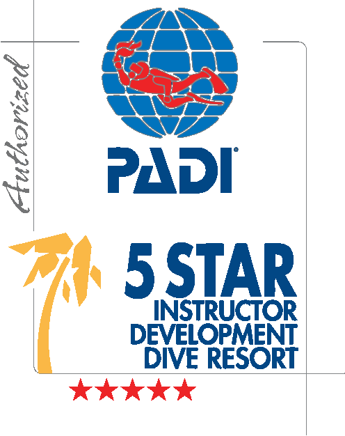 PADI Courses | BMD