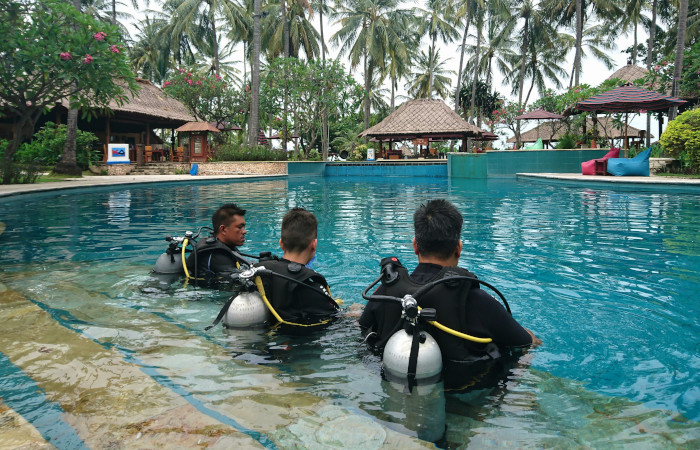 lombok Padi courses