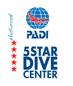 padi5divecentre-04