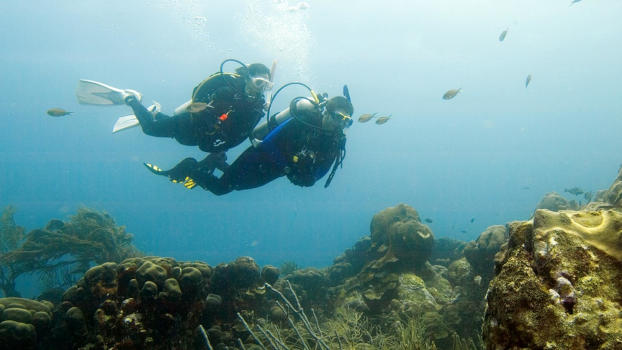 Gili Meno Wall's colourful reef.