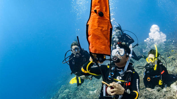 Gili Meno Wall's colourful reef.