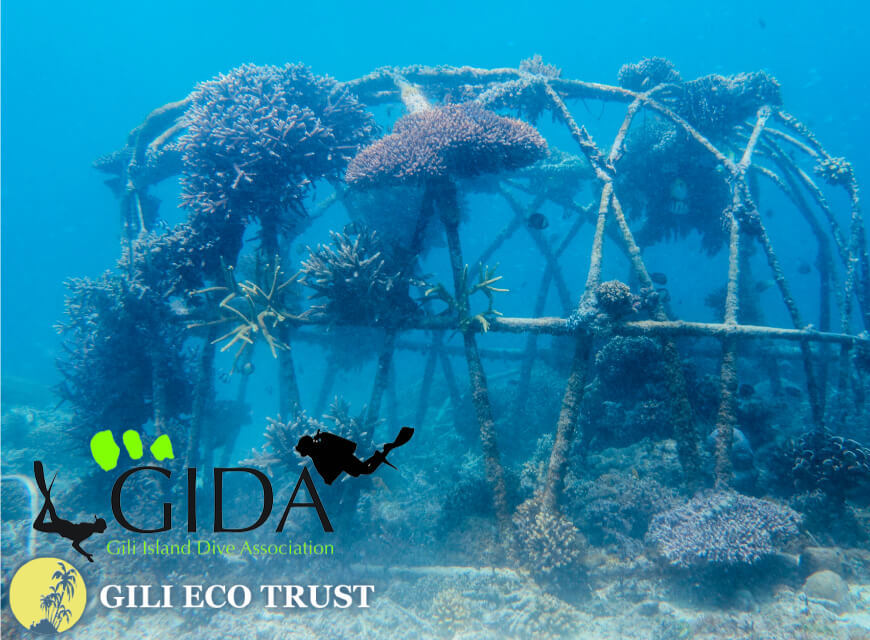 GIDA & THE GILI ECO TRUST